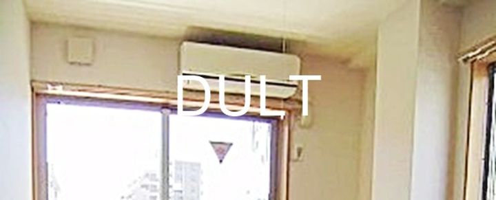 東京都台東区北上野2(マンション)の賃貸物件のその他画像