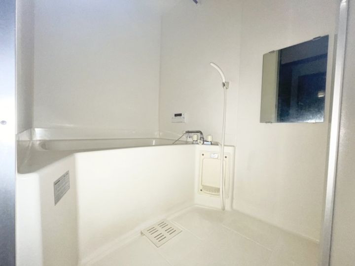 アイランドパレスCの風呂