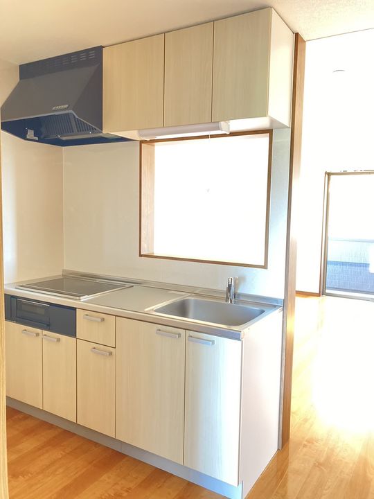 プレジール泰西 105のキッチン