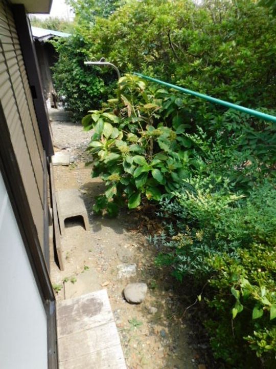 埼玉県和光市下新倉4(一戸建)の賃貸物件の内装