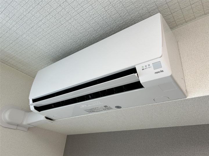 プラシードのその他画像