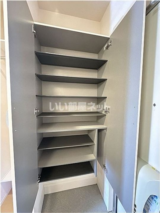 栃木県宇都宮市鶴田町(アパート)の賃貸物件の玄関