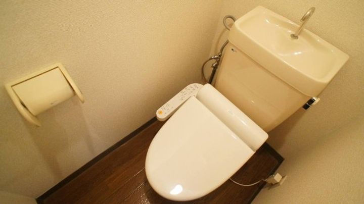 埼玉県本庄市寿1(アパート)の賃貸物件の内装