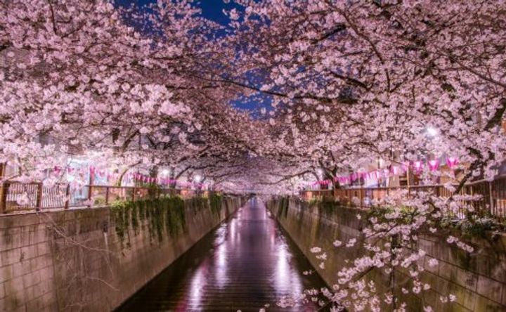 東京都渋谷区桜丘町(マンション)の賃貸物件の周辺
