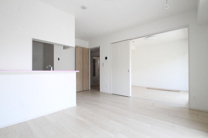 ハイネス川崎の居間