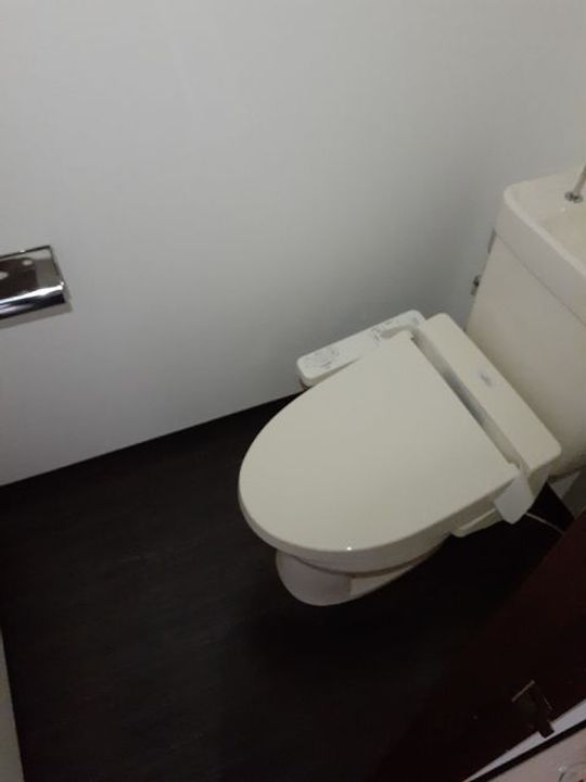 大阪府藤井寺市野中2(アパート)の賃貸物件の内装