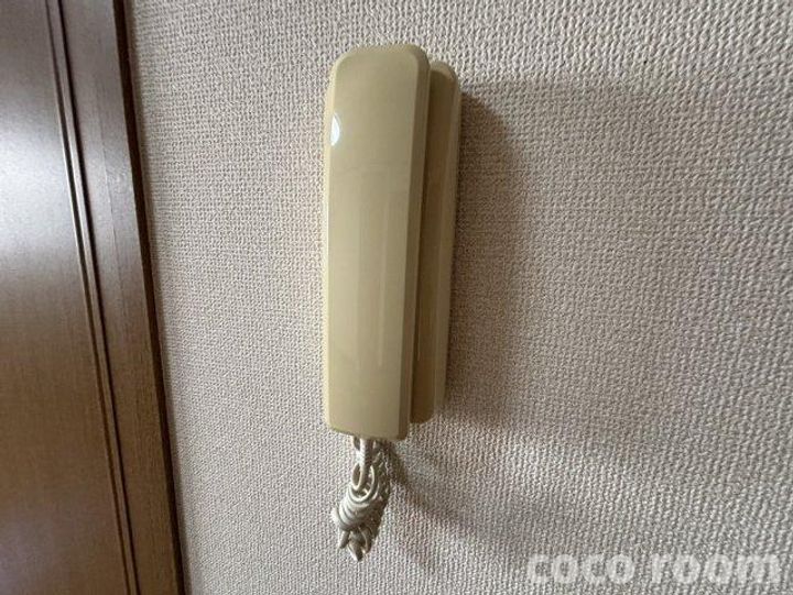 静岡県島田市本通6(アパート)の賃貸物件の内装