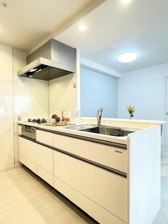 プレシャス浅草雷門のキッチン