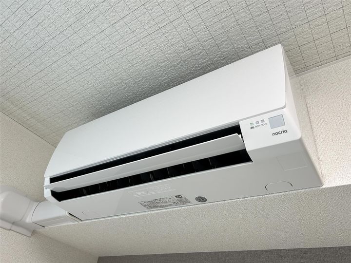 プラシードのその他画像