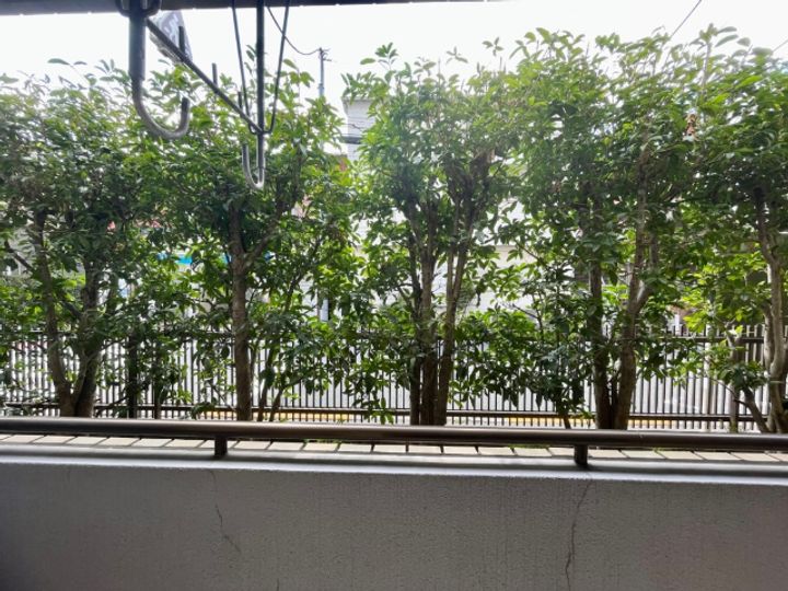 コア・クレインのその他画像