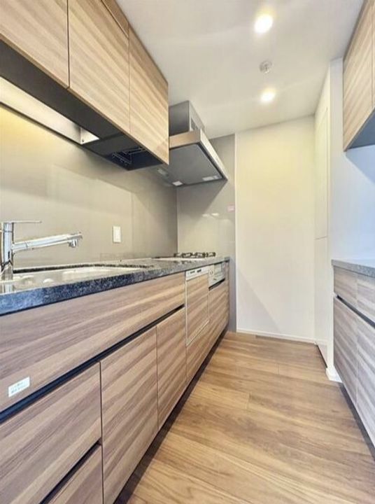 赤羽橋駅徒歩8分 高級分譲 ペット可 角部屋 築浅 1LDKのキッチン