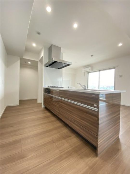 熊本県合志市幾久富(マンション)の賃貸物件のキッチン