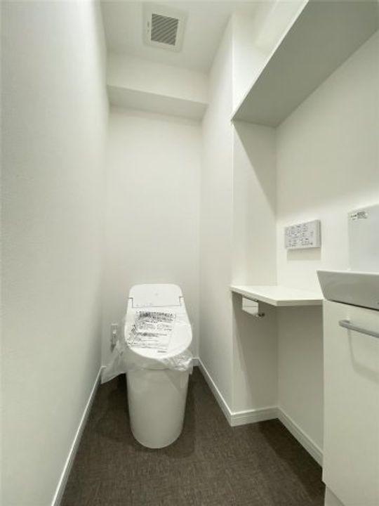 熊本県合志市幾久富(マンション)の賃貸物件の内装