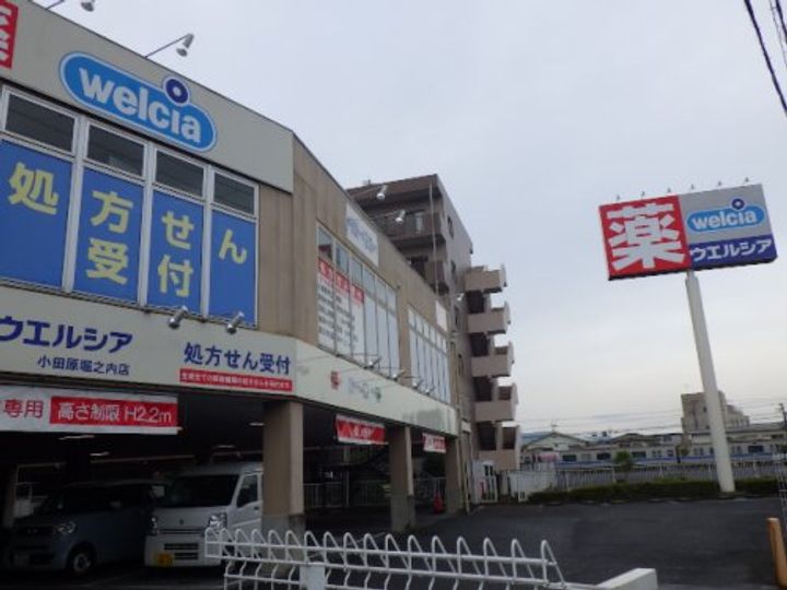 神奈川県小田原市小台(アパート)の賃貸物件の周辺