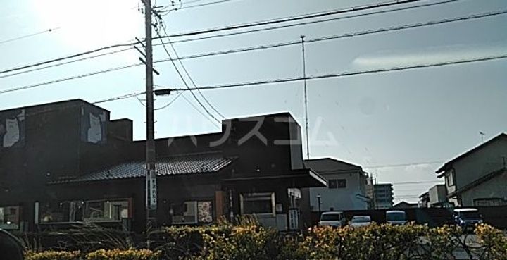 アルフラット オリーブの周辺