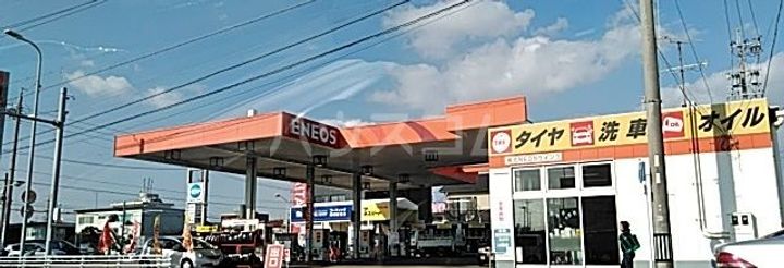 アルフラット オリーブの周辺