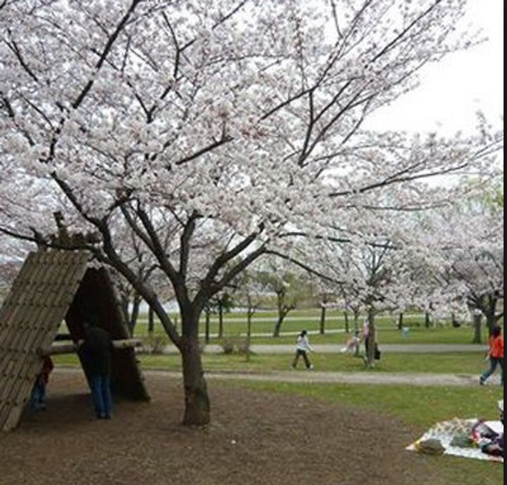 ヤマユウ第4ビルの周辺