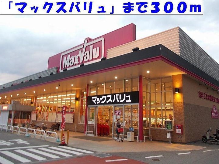 フラワーヒルズ B棟の周辺