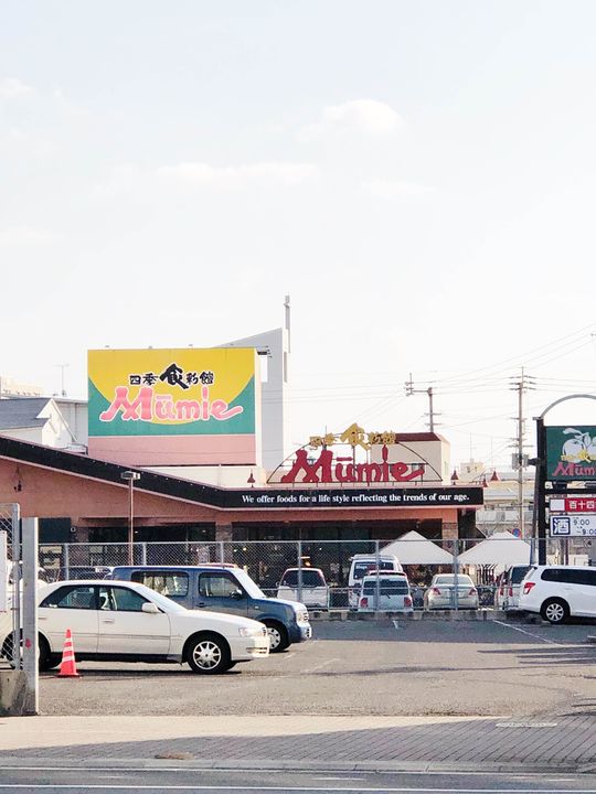 香川県高松市観光町(一戸建)の賃貸物件の周辺