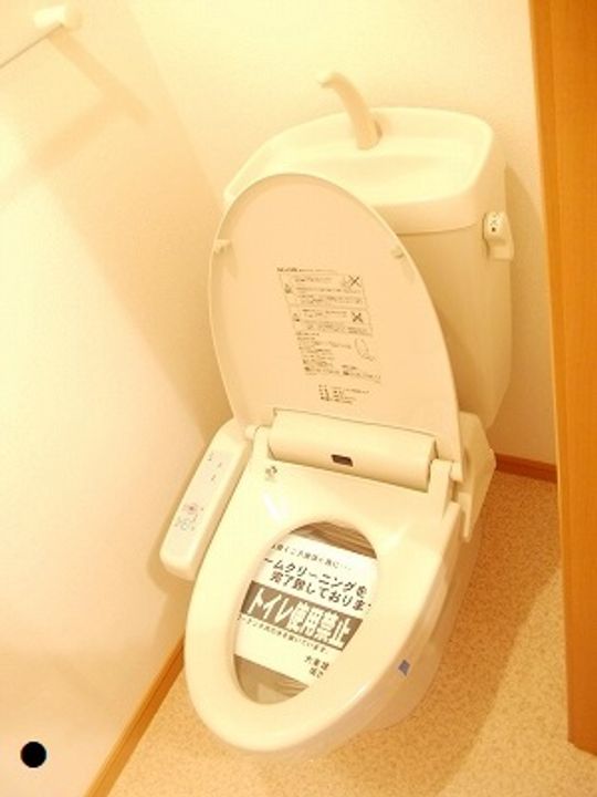 香川県観音寺市三本松町3(アパート)の賃貸物件の内装