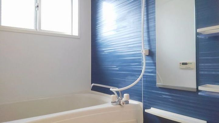 ラ メゾン ド ナチュ-ルの風呂