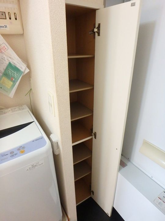 レオパレスコスモス(40898)の玄関