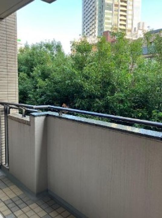 パークハウス六本木麻布三河台の内装