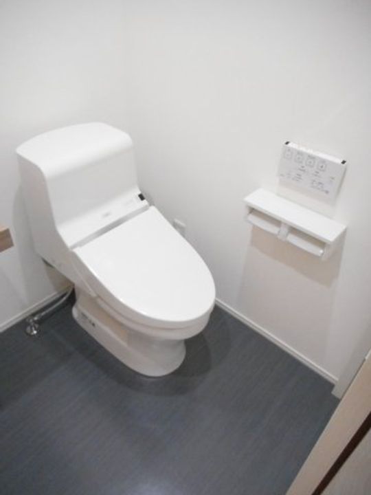 群馬県前橋市国領町2(アパート)の賃貸物件の内装