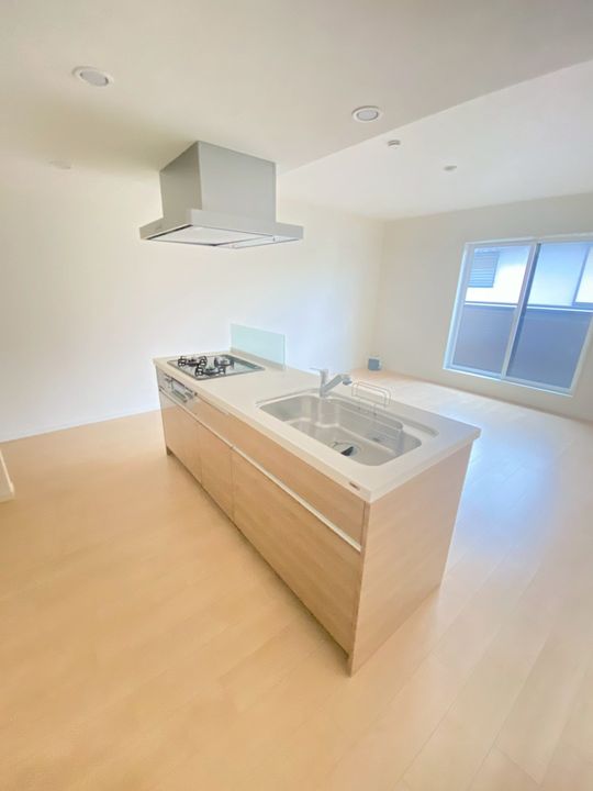 千葉県成田市並木町(一戸建)の賃貸物件のキッチン