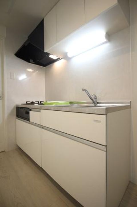 北海道札幌市中央区南十二条西9(マンション)の賃貸物件のキッチン