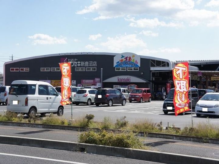 アリシャAの周辺