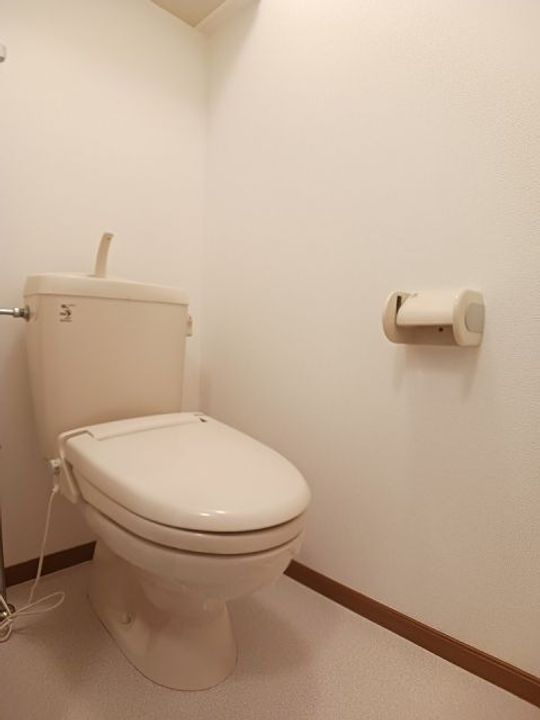 栃木県佐野市堀米町(アパート)の賃貸物件の内装