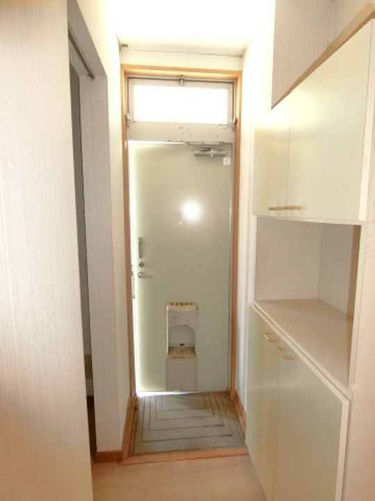 千葉県茂原市中の島町(アパート)の賃貸物件の玄関