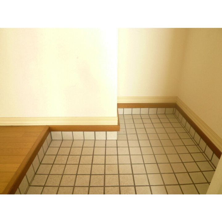 アスガードレジデンスAの玄関