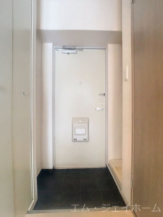 滋賀県守山市梅田町(マンション)の賃貸物件の玄関