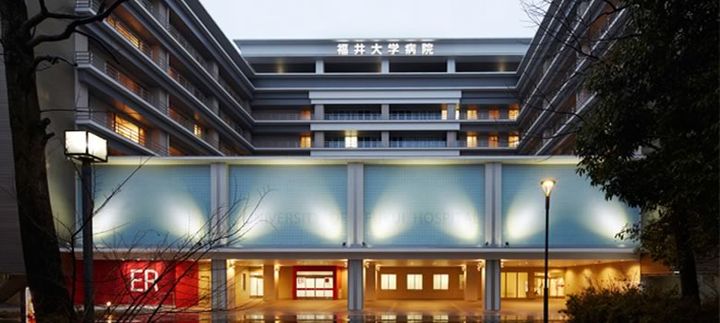 マイワタリの周辺