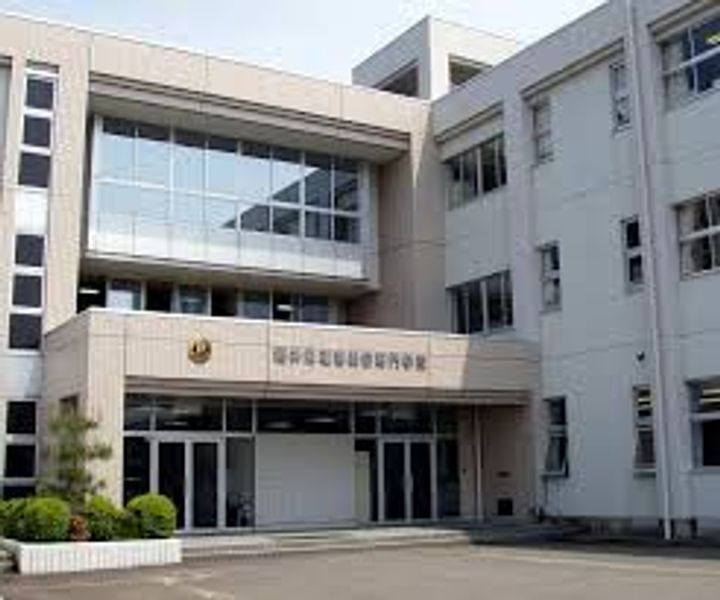 マイワタリの周辺