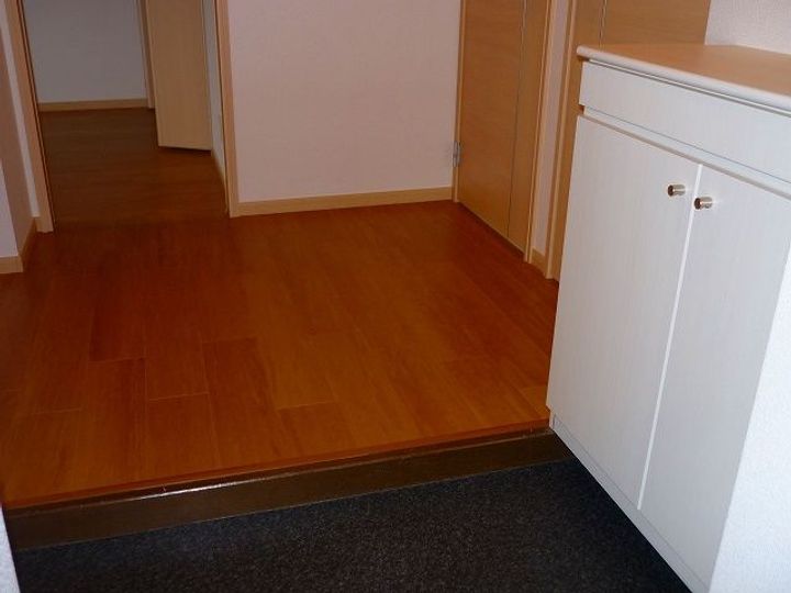 ラ・フォーレ星見ヶ丘IIの玄関