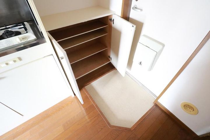 埼玉県さいたま市浦和区元町3(マンション)の賃貸物件の玄関