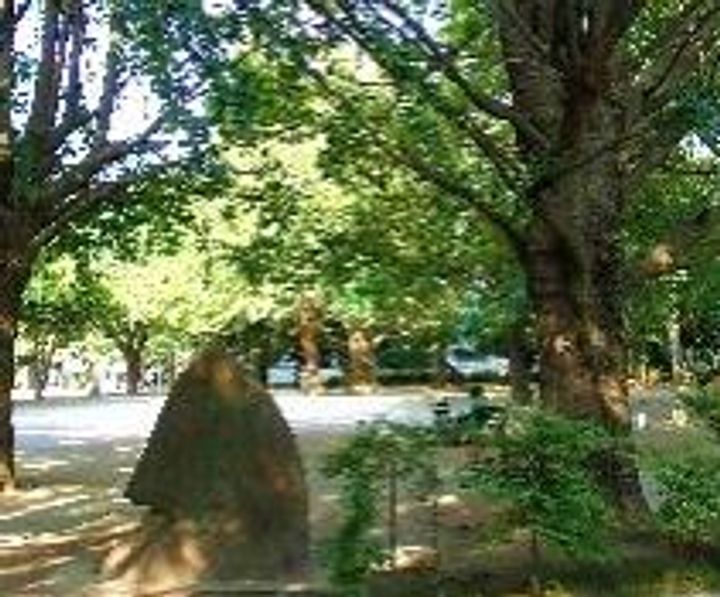 平和台戸建の周辺