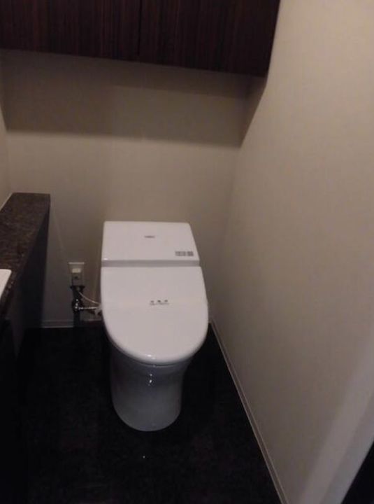 東京都港区赤坂2(マンション)の賃貸物件の内装