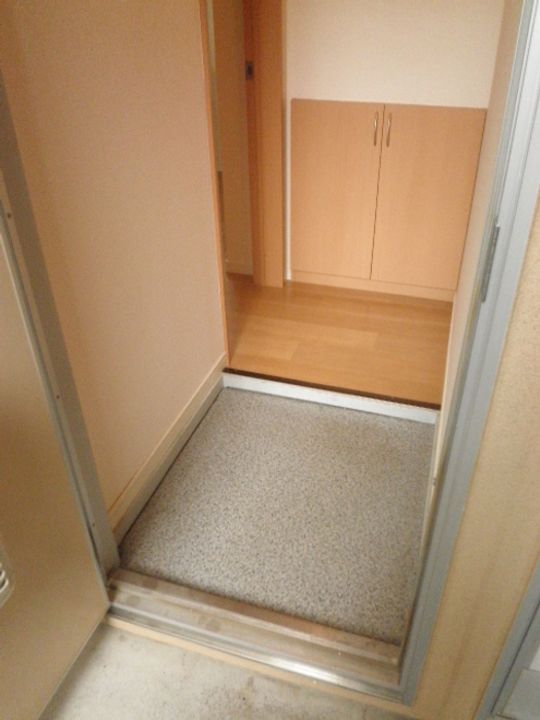 群馬県高崎市中泉町(アパート)の賃貸物件の玄関