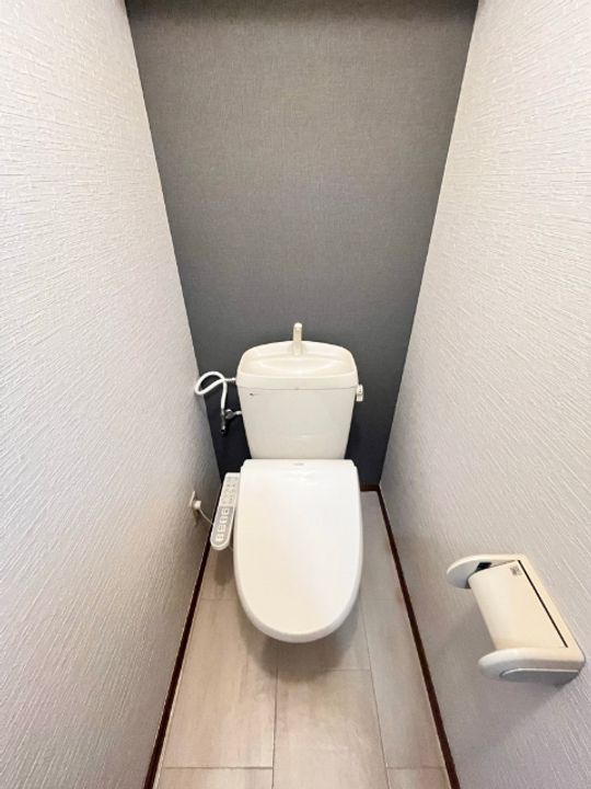 ウェールスIIの内装