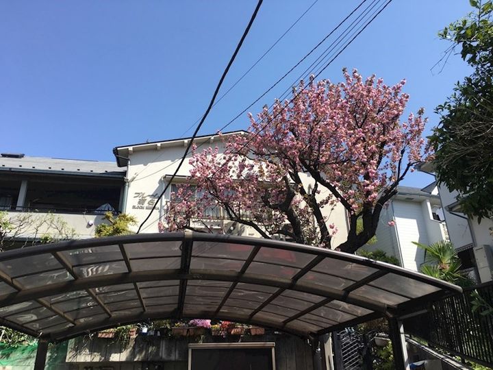 ブルーム菊名の外観