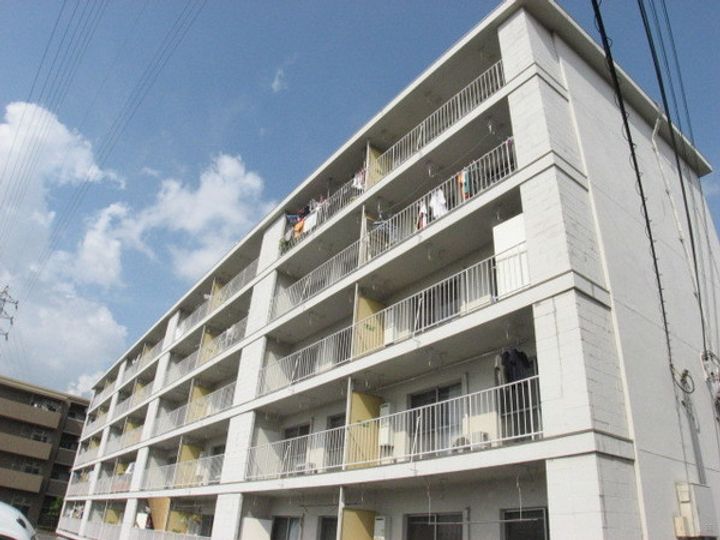 パークグリーン中島のその他画像