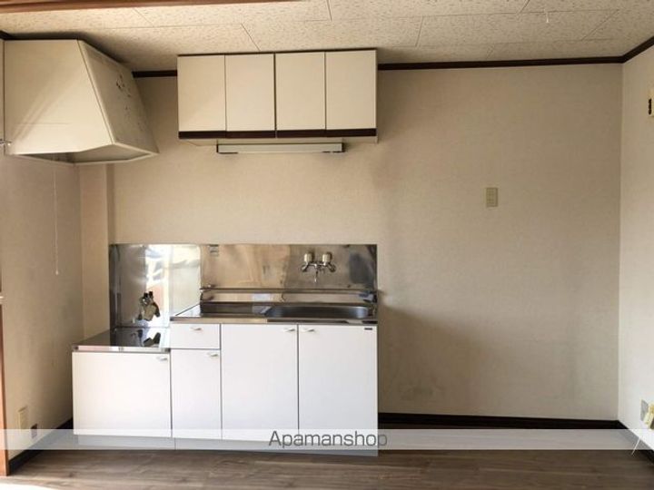 群馬県邑楽郡大泉町城之内5の賃貸アパートのキッチン