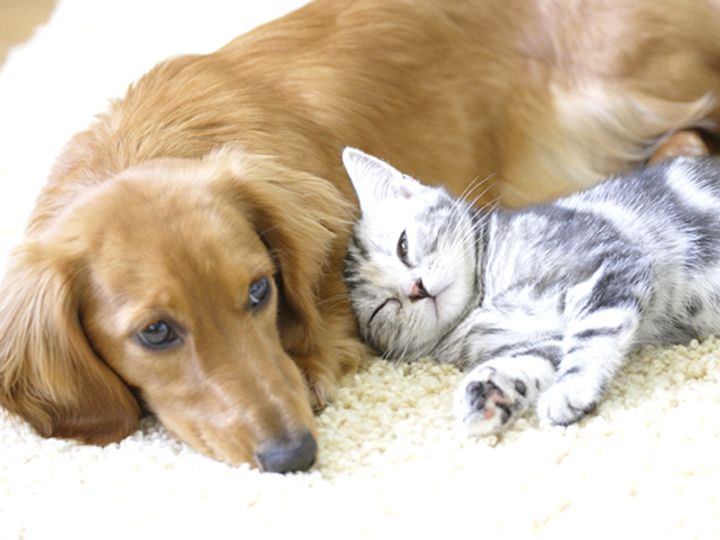 東京都中野区中央4(マンション)の賃貸物件のその他画像