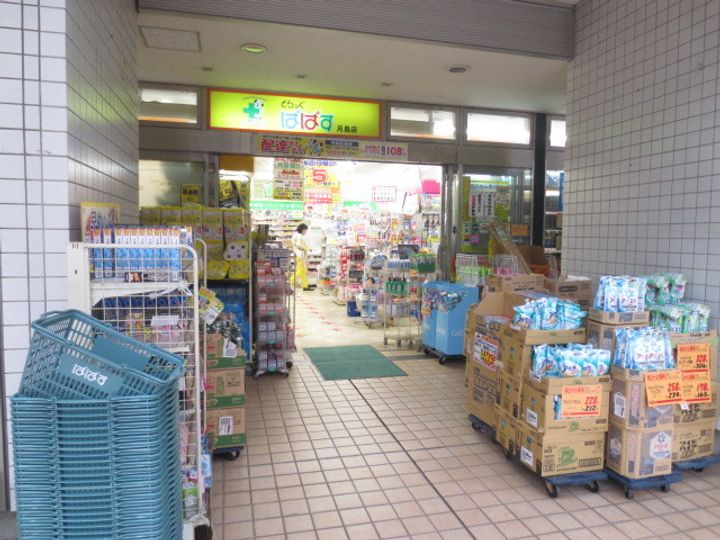 アイルプレミアム月島ドゥーエの周辺