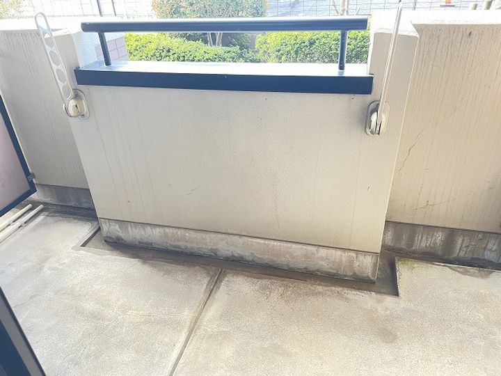 千葉県流山市大字東深井(マンション)の賃貸物件の内装