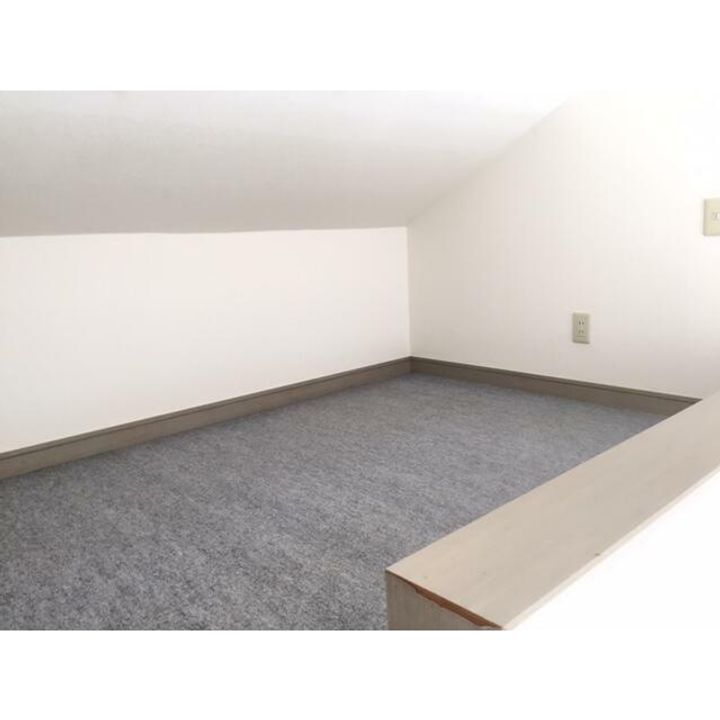 神奈川県厚木市三田(アパート)の賃貸物件の内装